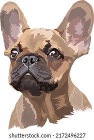 French Bulldog. Vector illustration. Portrait