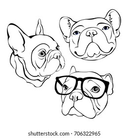 French Bulldog. Vector illustration for a poster. Cute puppy. Pedigree dog.