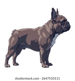 Ilustração de vetor buldogue francês em vista lateral, corpo inteiro sobre fundo branco, ilustração de vetor 2D
