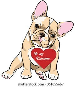 French bulldog. Vector illustration for St Valentine day. 