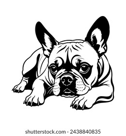 French Bulldog Vector isolated on white background, Dog Silhouettes, Design in black and white style