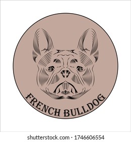 
French bulldog vector logo on a beige background