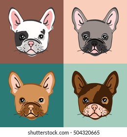 French Bulldog. Vector set of cute bulldog's face. Vector illustration.