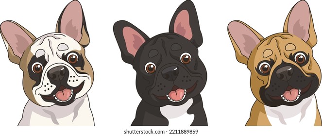 French bulldog vector sticker portrait cartoon dog puppy