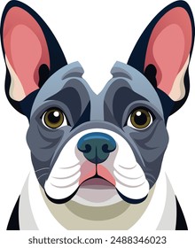 French bulldog Bulldog  vector style 
 ,Clipart , Illustration with white background