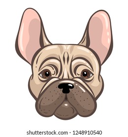 French bulldog vector tatoo style illustration in custom design