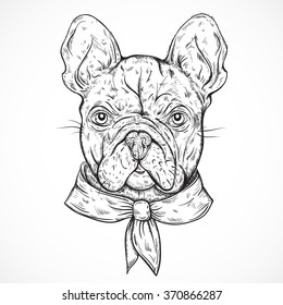 French Bulldog. Vintage black and white hand drawn vector illustration in sketch style