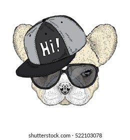 French bulldog wearing a cap and sunglasses. Cute puppy. Vector illustration for a card or poster.