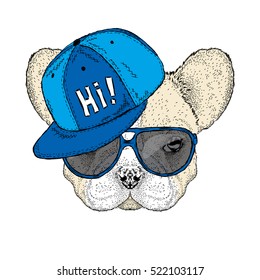 French bulldog wearing a cap and sunglasses. Cute puppy. Vector illustration for a card or poster.