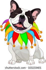 French bulldog wearing a colorful collar with bells