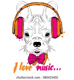 French bulldog wearing headphones. Vector puppy. Hipster.