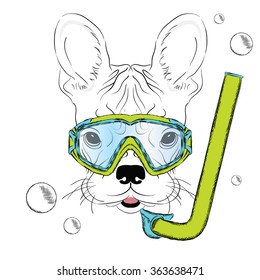 French Bulldog wearing a mask for diving.  Swimmer. Hipster.