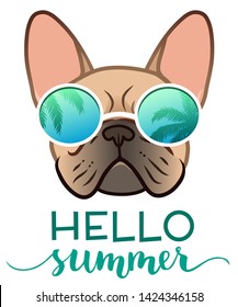 French bulldog wearing mirror sunglasses with palm trees reflection, with Hello Summer text vector illustration. Funny pet, lifestyle, summer holidays, resort, tropical vacation theme design element.