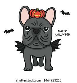 French Bulldog with wing and pumpkin monster, Happy Halloween cartoon vector illustration