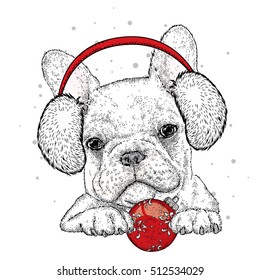 French Bulldog in winter headphones. Vector illustration for a card or poster. Print on clothes. Cute puppy. Pedigree dog. Winter holidays. New Year's and Christmas.