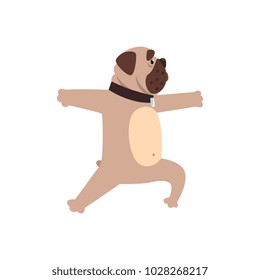 French bulldog working out yoga excercise, funny dog practicing yoga cartoon vector Illustration on a white background