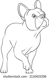 French bulldogs cartoon puppy isolated on white background