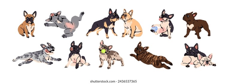 French bulldogs in different colors set. Cute toy dogs with funny muzzles. Adorable puppies play, rest, relax, have fun. Amusing pets, domestic animals. Flat isolated vector illustration on white