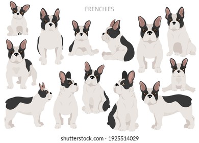 French bulldogs in different poses. Adult and puppy set.  Vector illustration