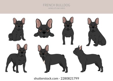 Perros de toro franceses en diferentes poses. Conjunto de adultos y cachorros.  Ilustración del vector