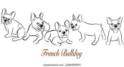 French bulldogs in different poses. Adult and puppy set. Vector illustration in doodle hand drawn style