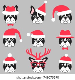 French bulldogs with Santa hats