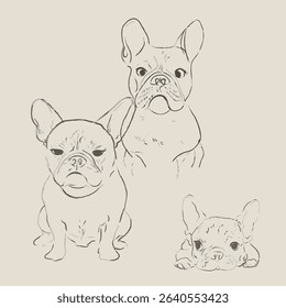 French bulldogs simple drawing - surprised and tired adult bully parents and a shy puppy