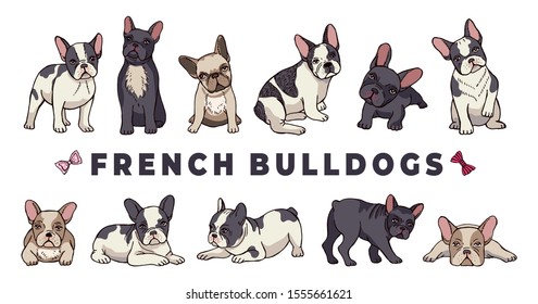 French bulldogs. Vector bulldog set. Funny cartoon puppy isolated on white background