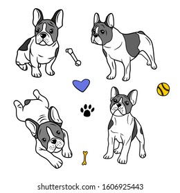 French bulldogs. Vector bulldog set. Funny cartoon puppy isolated on white background.