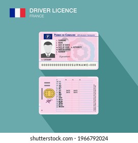 French car driver license identification. Flat vector illustration template. France.