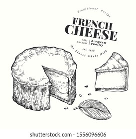 French cheese illustration. Hand drawn vector blue cheese illustration. Engraved style Camembert. Vintage brie cheese illustration.