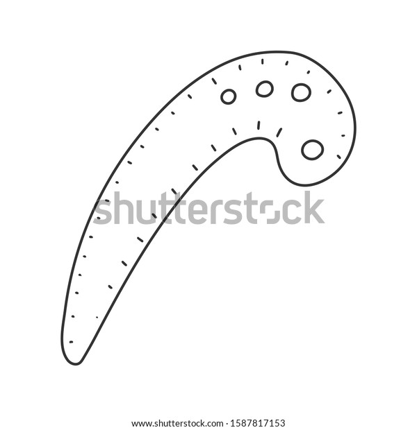 french curve ruler vector illustration simple stock vector royalty free 1587817153