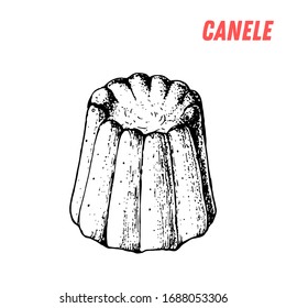 French dessert canele sketch. French pastries . Food menu design template. Hand drawn sketch vector illustration.