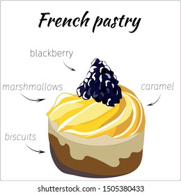 French dessert. Sponge cake with cream and blackberry on a white background. Design for print, posters, banners, cards, menu. Vector illustration