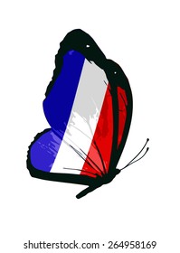 French flag butterfly - vector
