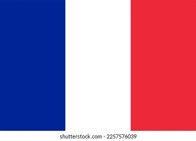 French flag isolated vector illustration