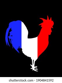 French flag over rooster vector silhouette isolated on black background. Republic of France national symbol flag over chicken male.