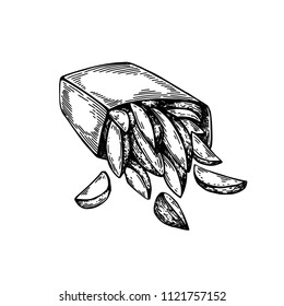 French fries card. Sketch of snack. Vintage engraved illustration isolated on white background. Template for label, poster, postcard, invitation, flyer, logo, menu. 