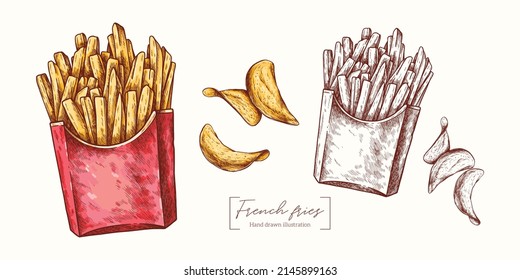 French fries in a paper cup and chips vector hand drawn. Fast food in engraving style. Vector illustration for card, package, menu, restaurants, textile