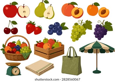 French Fruit Market vector illustration collection with apples, pears, peaches, apricots.