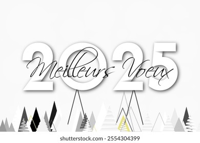 French Happy new year - best wishes 2025 with colorful number. Perfect vector for poster banner greeting and new year 2025 celebration.