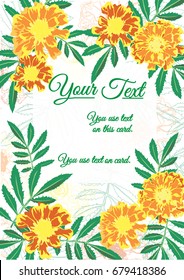 French Marigold card design. Green text and yellow flower on flower line background is vector.