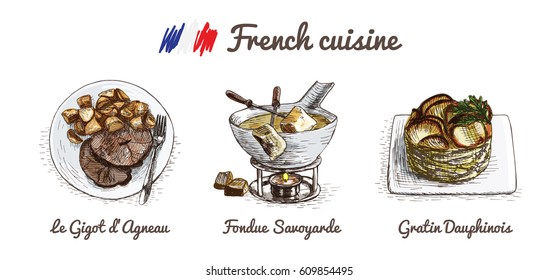 French menu colorful illustration. Vector illustration of French cuisine.