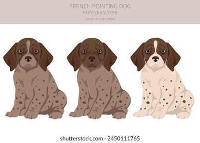 Französischer Spitzhund, Pyrenäen-Typ Welpen-Clipart. Verschiedene Posen, Fellfarben gesetzt.  Vektorillustration
