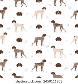French pointing dog, Pyrenean type seamless pattern. Different poses, coat colors set.  Vector illustration