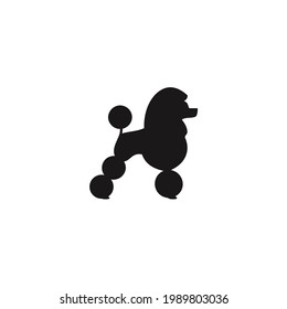 French poodle dog silhouette on a white background