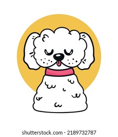 french poodle with necklace mascot