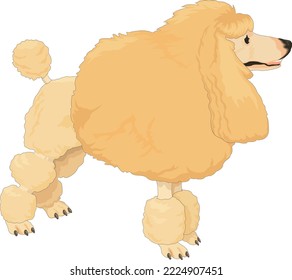 Ilustración vectorial de pie de carpintería francesa