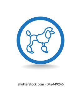 French poodle vector icon