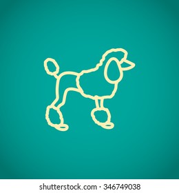 French poodle vector icon
